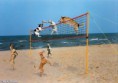 /album/bilder/dogs-playing-volleyball-64879-jpg/