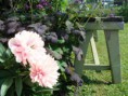 /album/bilder/a605-jpg/