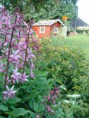 /album/bilder/a614-jpg/